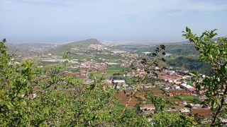 GC-Mirador El Helechal 2026-13.jpg